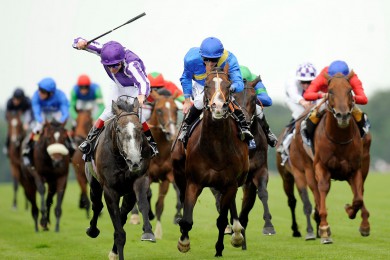 Horse-Racing